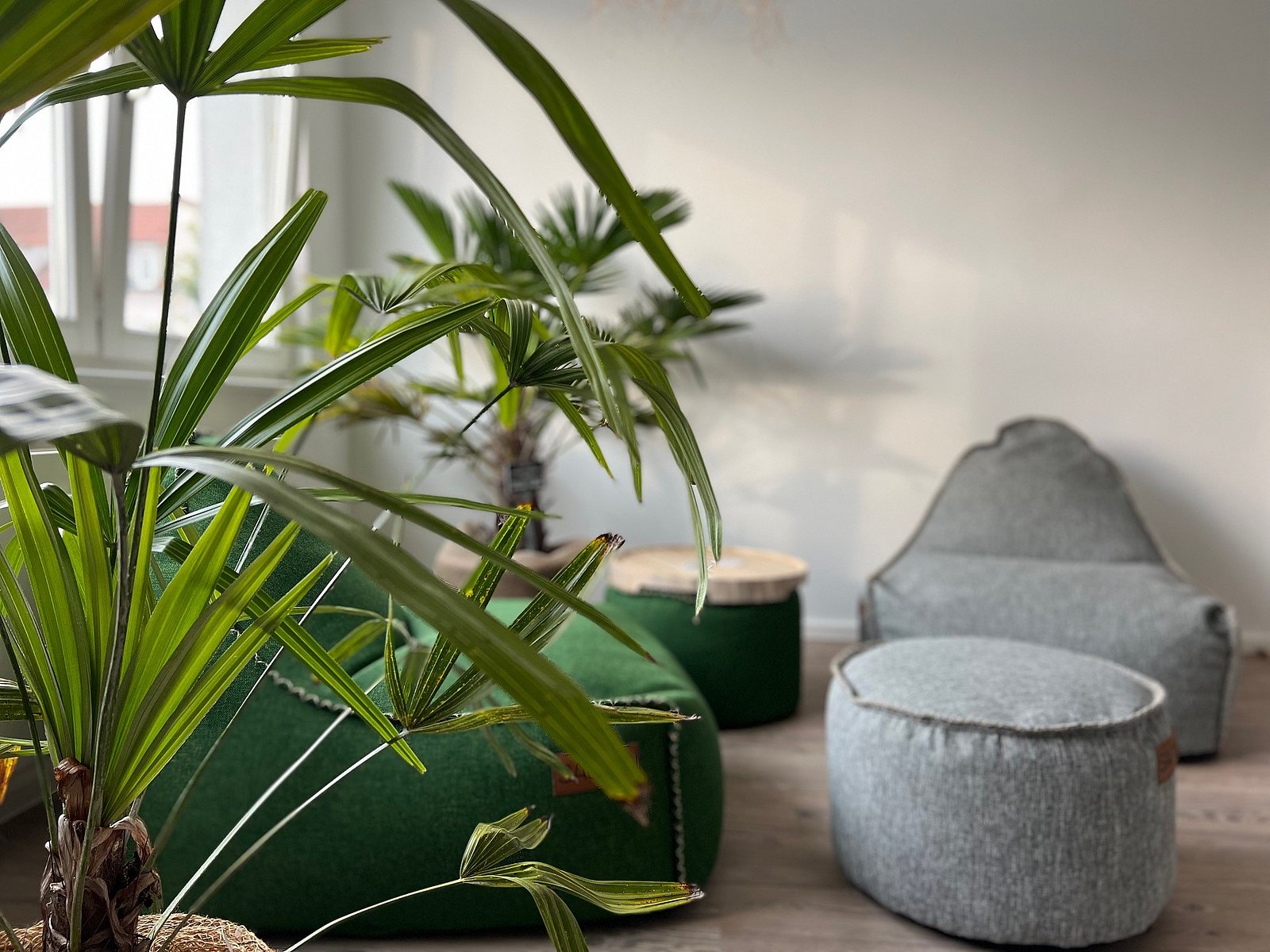 Im Vordergrund ist eine Pflanze abgebildet, im Hintergrund befinden sich zwei gemütliche Sessel aus grobem Material in den Farben grün und grau sowie zwei zylinder-förmige Hocker in den selben Farben.