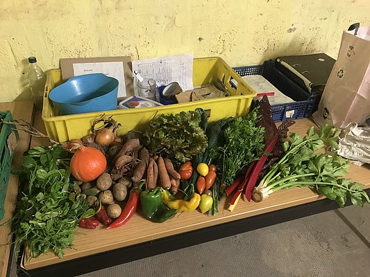 Contents of a vegetable box from the solidarity agriculture forest garden