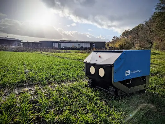 ein Roboter fährt über ein Zuckerrübenfeld und entfernt dabei das Beikraut.