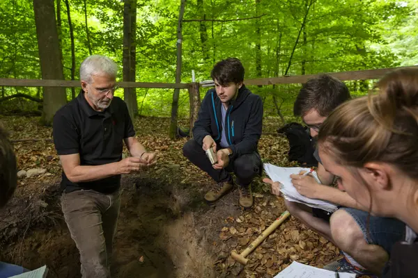 Ein Forscher steht im Wald in einer Grube zur Ansprache des Bodenprofils. Er zerbröselt etwas Boden mit den Findern. m Rand der Grube hocken drei weitere junge Forschende.