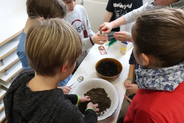 Schulkinder verkneten Erde und Samen zu kleinen Kugeln