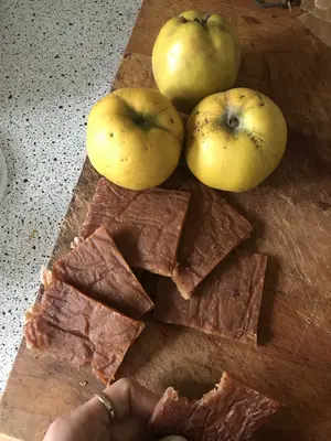 Quittenbrot aus polykulturem Anbau