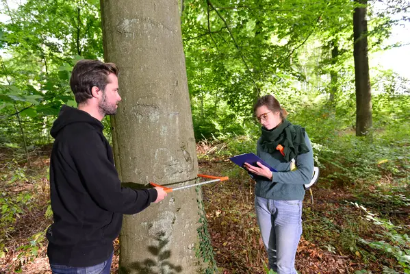 Studierende im Wald