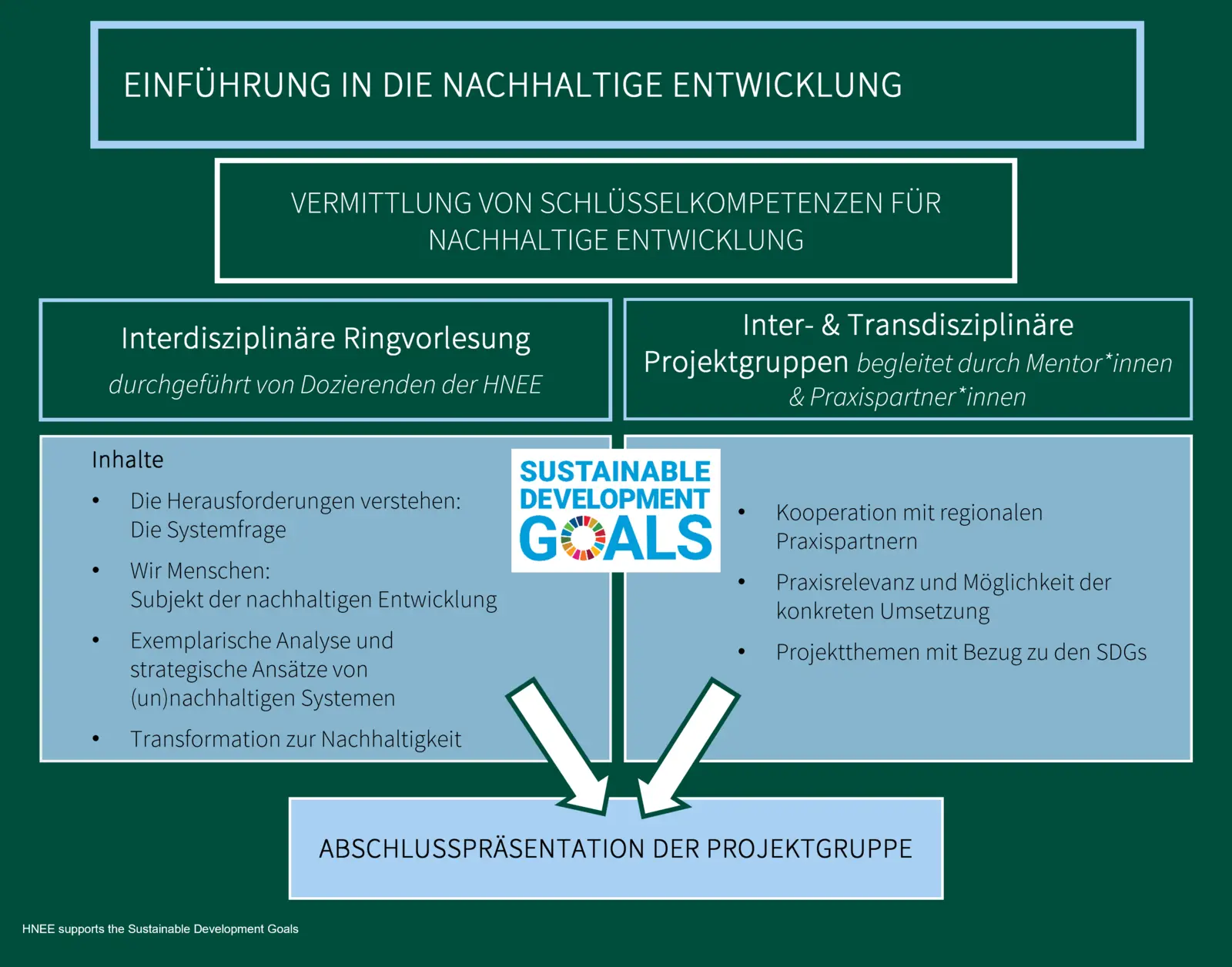 Grafik zum Aufbau des Moduls „Einführung in die nachhaltige Entwicklung“ in der das Zusammenspiel von interdisziplinärer Ringvorlesung und inter- und transdisziplinären Projektgruppen veranschaulicht wird.