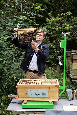 Ein Mann hält ein Bienenwabenrähmchen in den Händen und betrachtet es. Vor ihm auf dem Tisch steht ein Bienenstock aus Holz auf dem Digitaler Bienenstock zu lesen ist. Seitlich am Bienenstock ist eine kleine Wetterstation installiert.