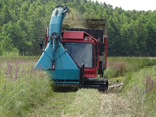 eine umgebaute Pistenraupe mäht Gras im Niedermoor.